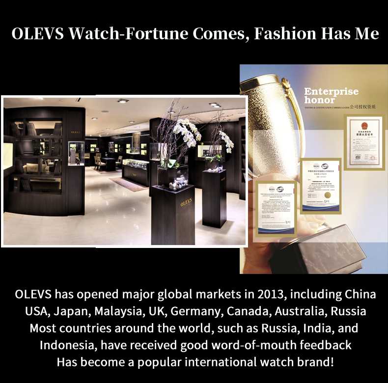 OLEVS 2911 Classic Roman Numeral Men's Steel Quartz Watch - Timeless Design, Perfect Gift for Men