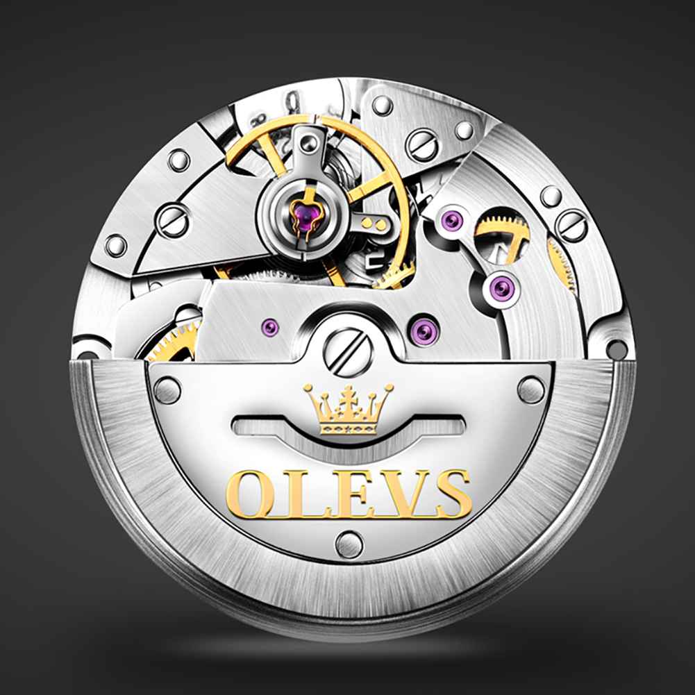 OLEVS Watch 6653 Tourbillon Automatic Mechanical Watch