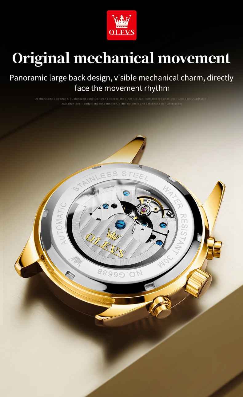 Olevs 6688 Premium Automatic Multi-Function Mechanical Watch