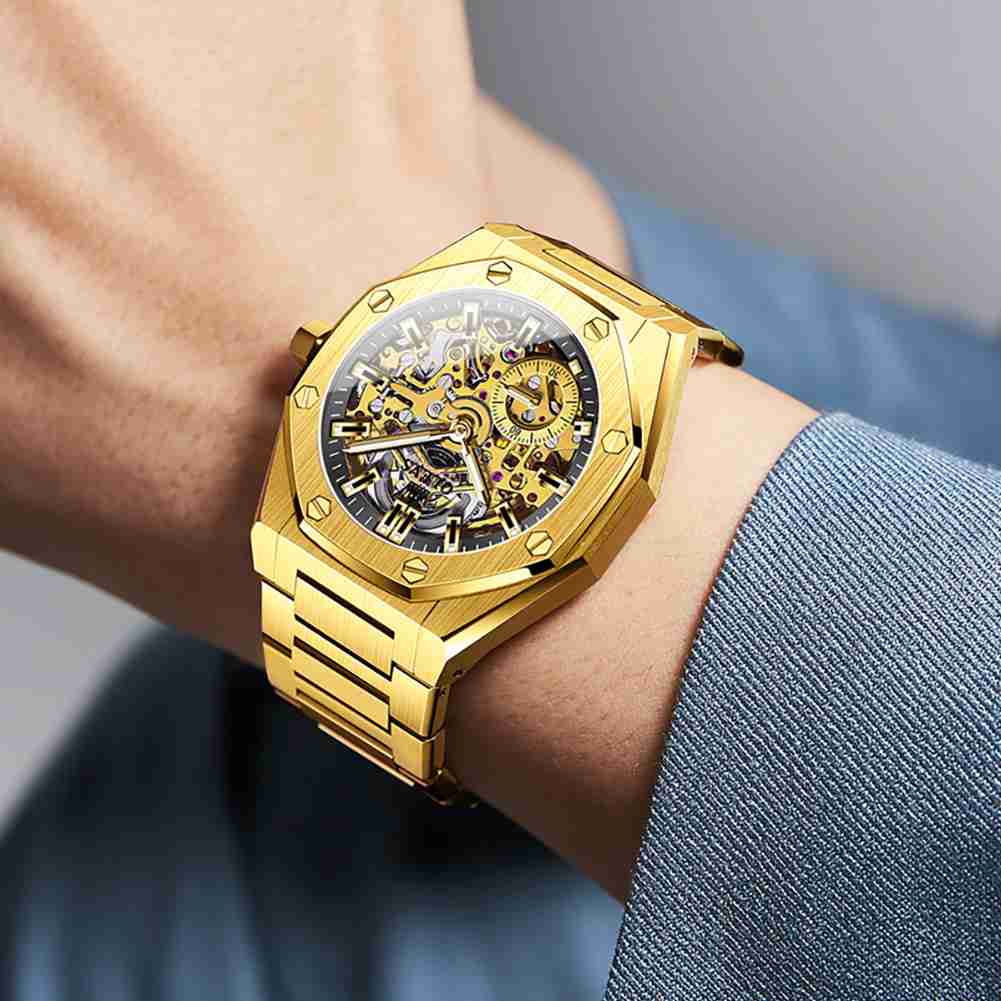 OLEVS 6669 Luxury Mechanical Watch