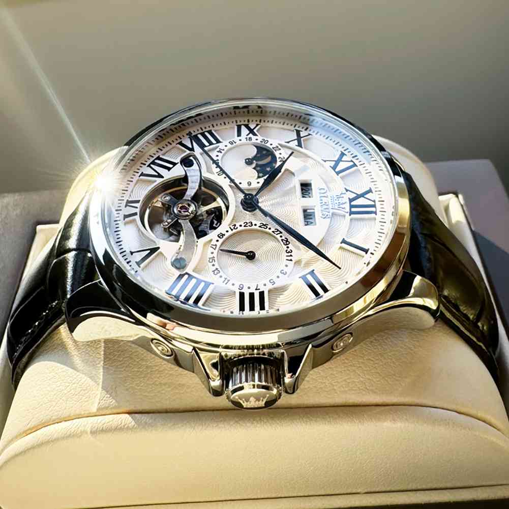 OLEVS 7013 Men's Mechanical Watch With Skeleton Design, Roman Numerals