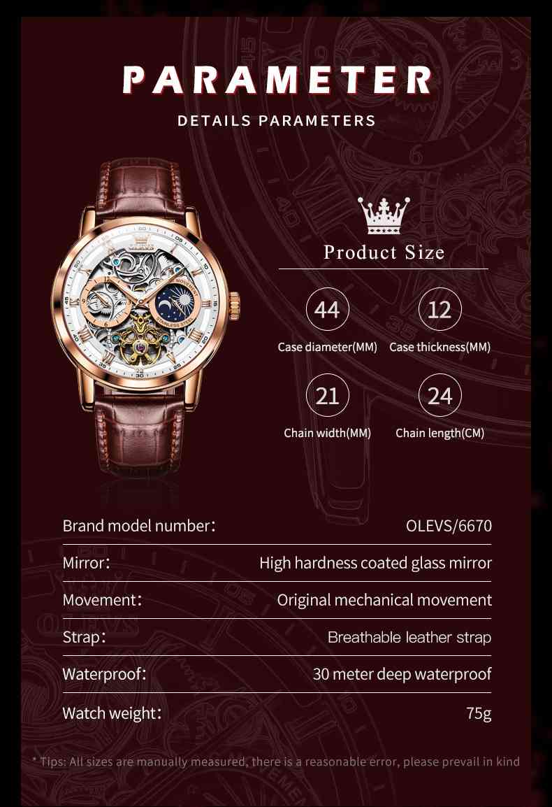 OLEVS 6670 Skeleton Watches For Mens Automatic Mechanical Self Winding Tourbillon Luxury Dress Wrist Watches Waterproof Luminous