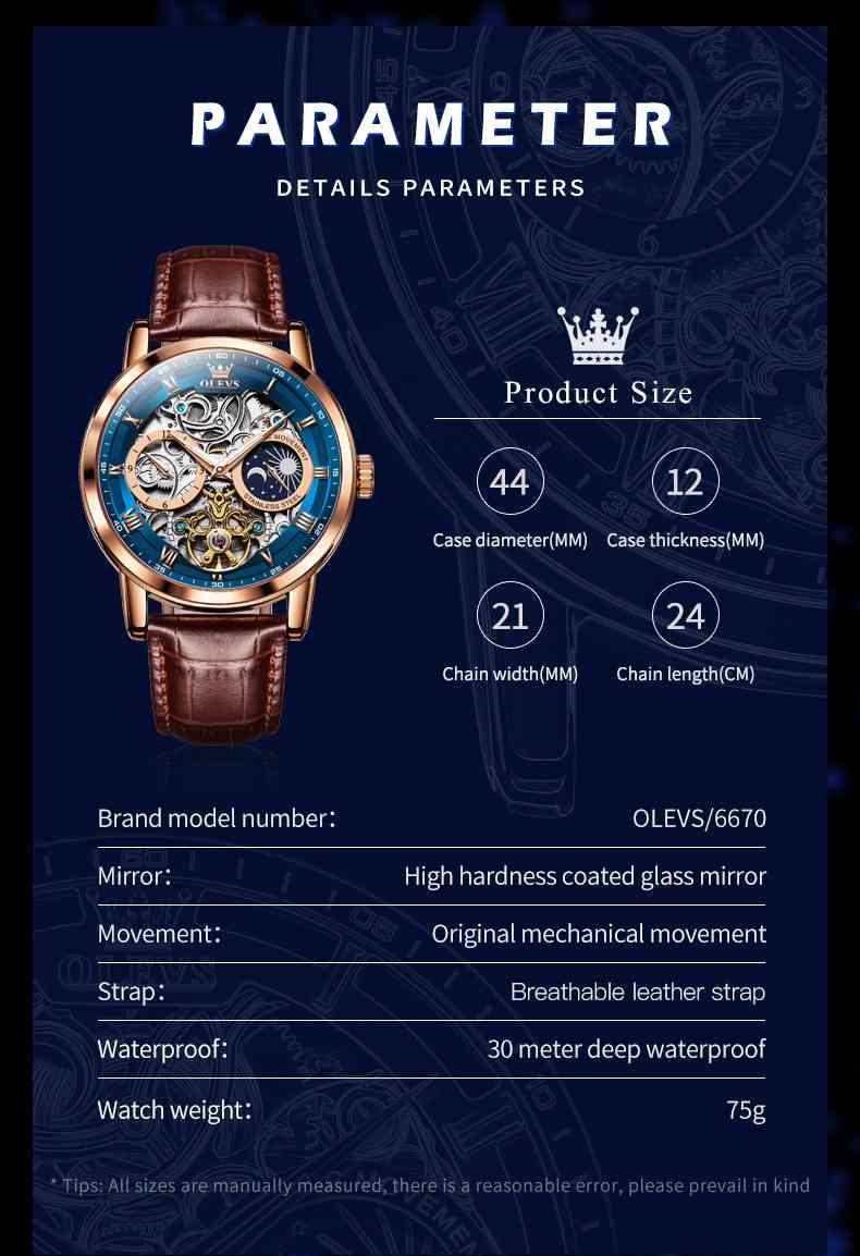 OLEVS 6670 Skeleton Watches For Mens Automatic Mechanical Self Winding Tourbillon Luxury Dress Wrist Watches Waterproof Luminous